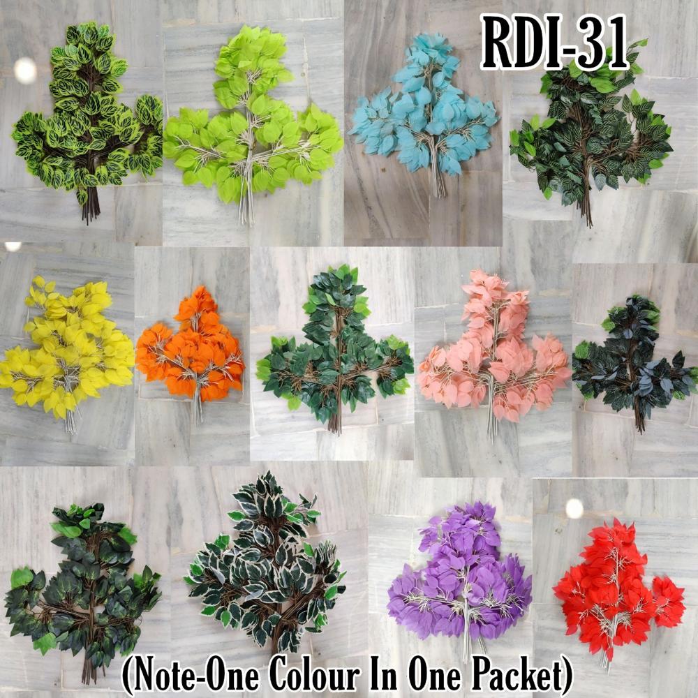 FICUS ( PACK OF 12 )