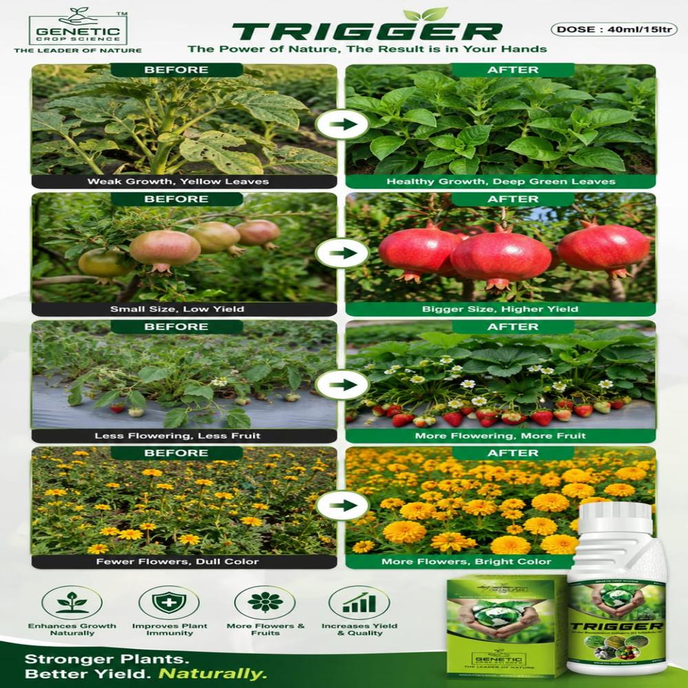 Plant Growth Regulator - 98% Purity, Amino Acids & Plant Enzymes For Enhanced Cumin Yield | Biological Pesticide, Powder Form, Controlled Release, Increases Growth And Flower Quality