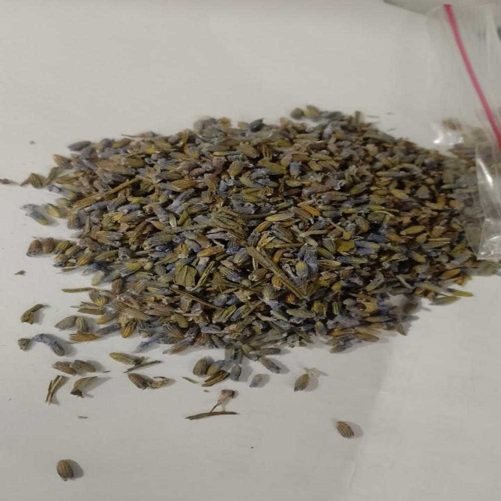 Lavender Buds - Dried Buds, 12 Months Shelf Life, Purple Color | Aromatherapy, Culinary Uses, Herbal Medicine, Crafting