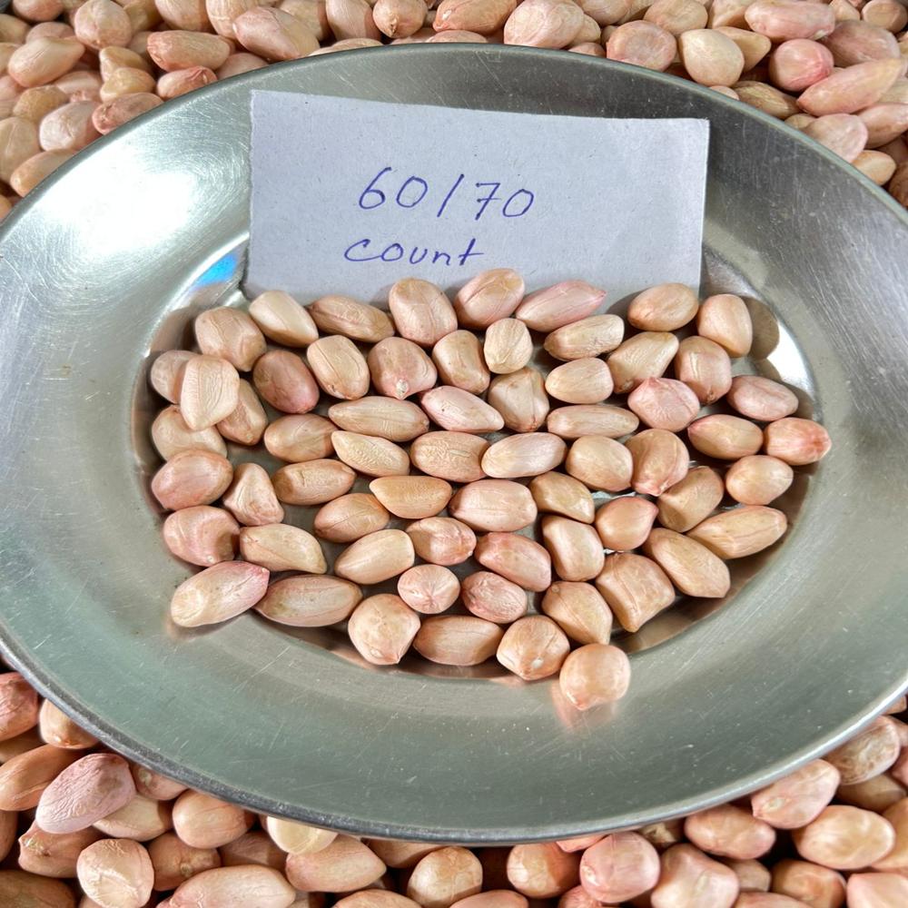 Groundnut Seeds - Admixture (%): 1%