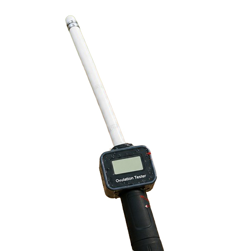 Bethlehem Digital Cattle Estrus Detector