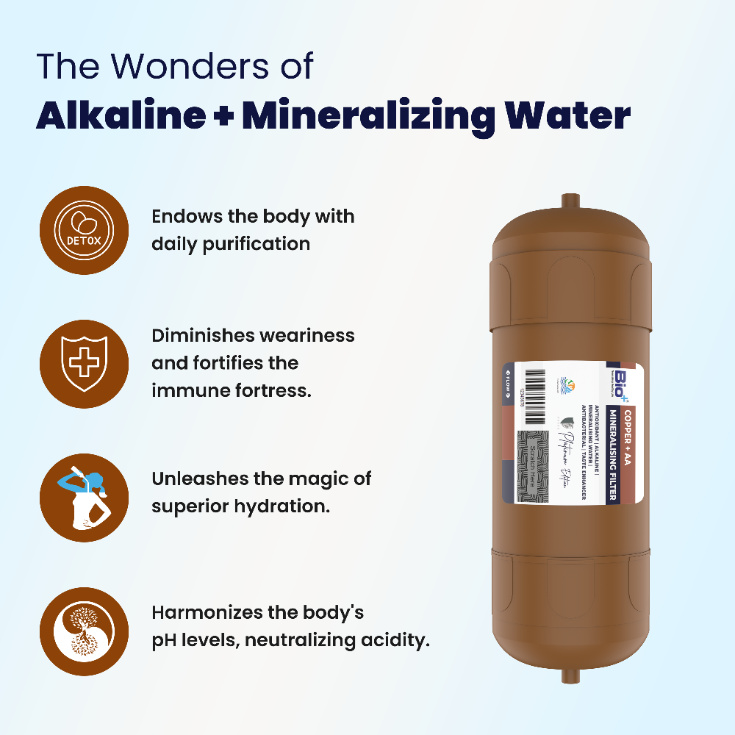 Bio+ Copper AA+ Mineralising 5 INCH Filter (Brown)