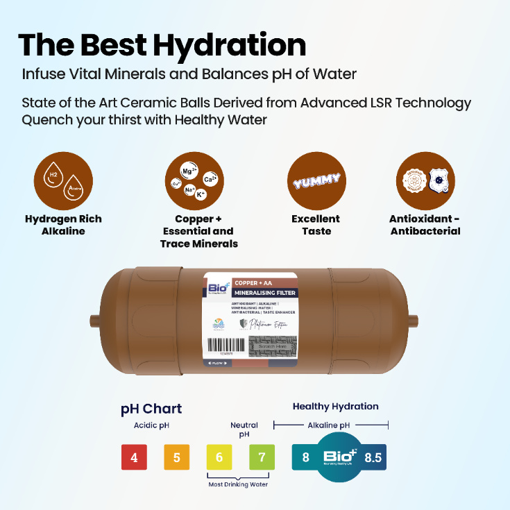 Bio+ Copper AA+ Mineralising 5 INCH Filter (Brown)