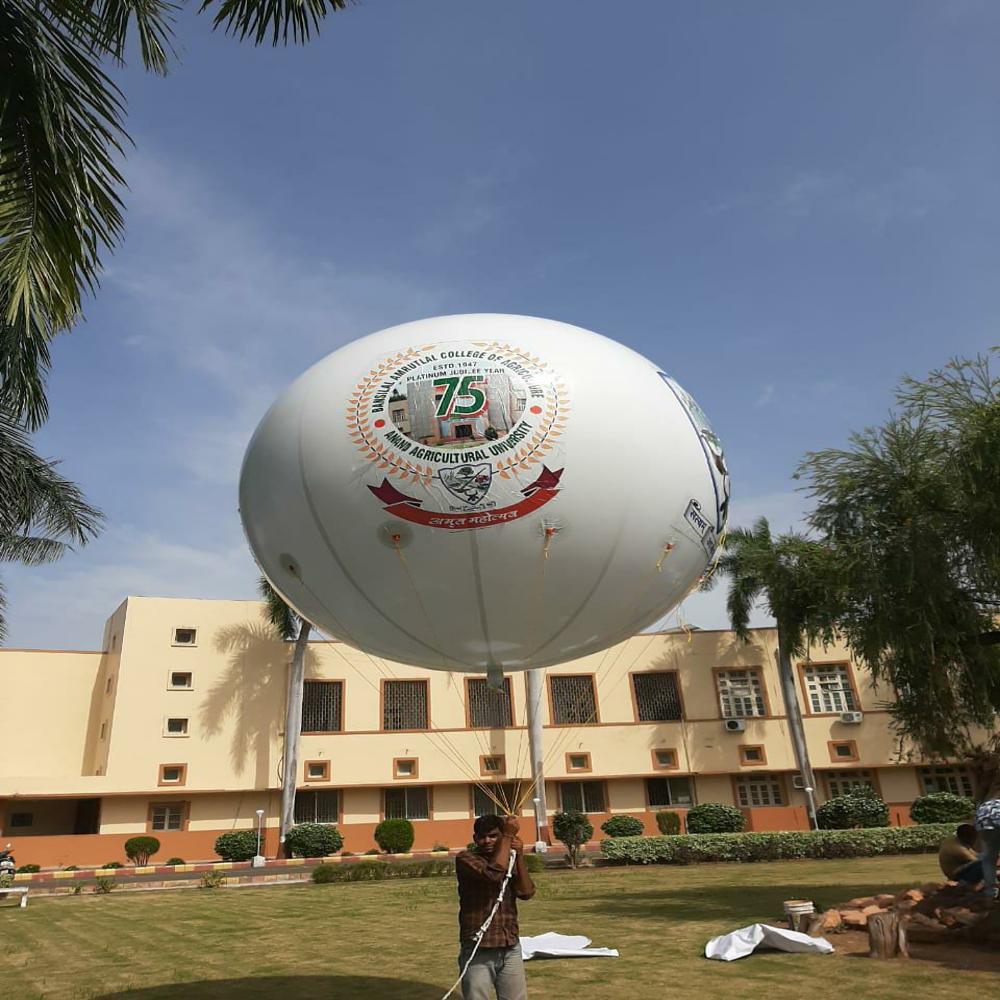 Promotional Pvc Balloon