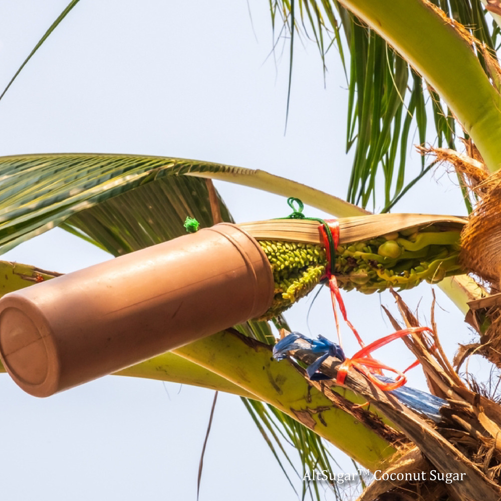 Coconut Sugar