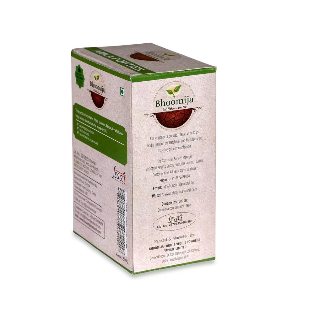 Ginger Powder (250 GM)