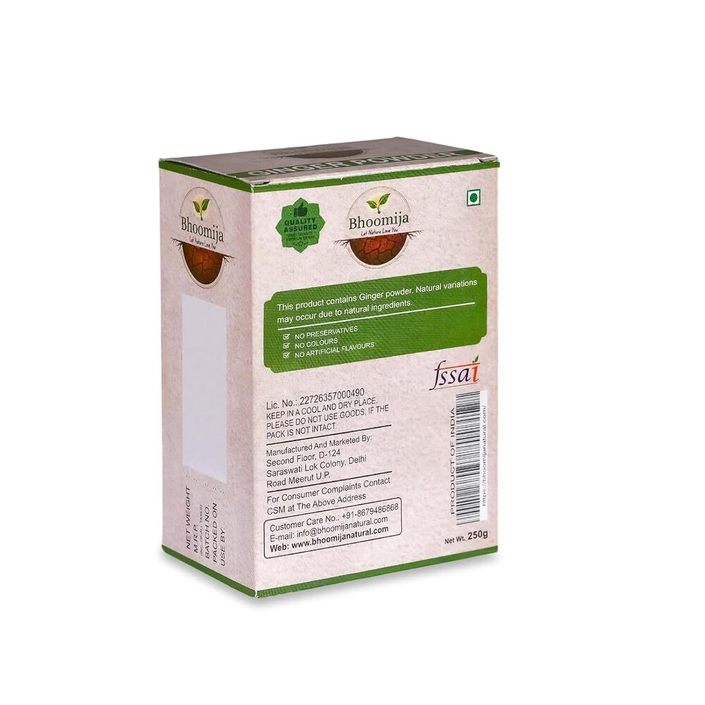 Ginger Powder (250 GM)