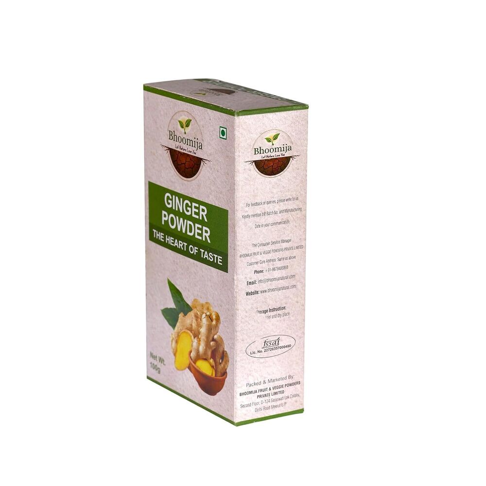 Ginger Powder (100 GM)