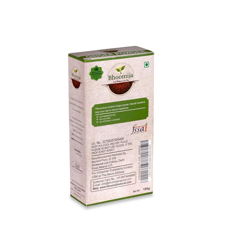 Ginger Powder (100 GM)