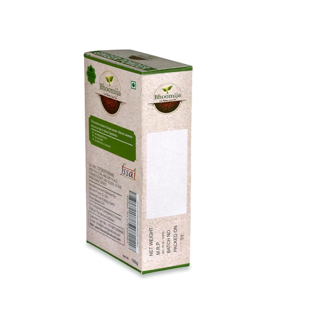 Ginger Powder (100 GM)