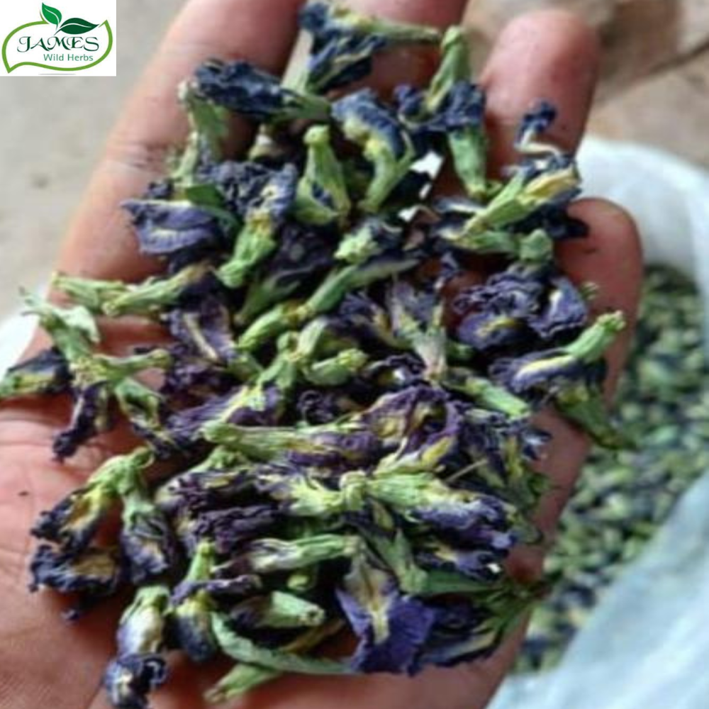 Butterfly Pea Dry Flower