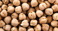 Kabuli Chickpeas