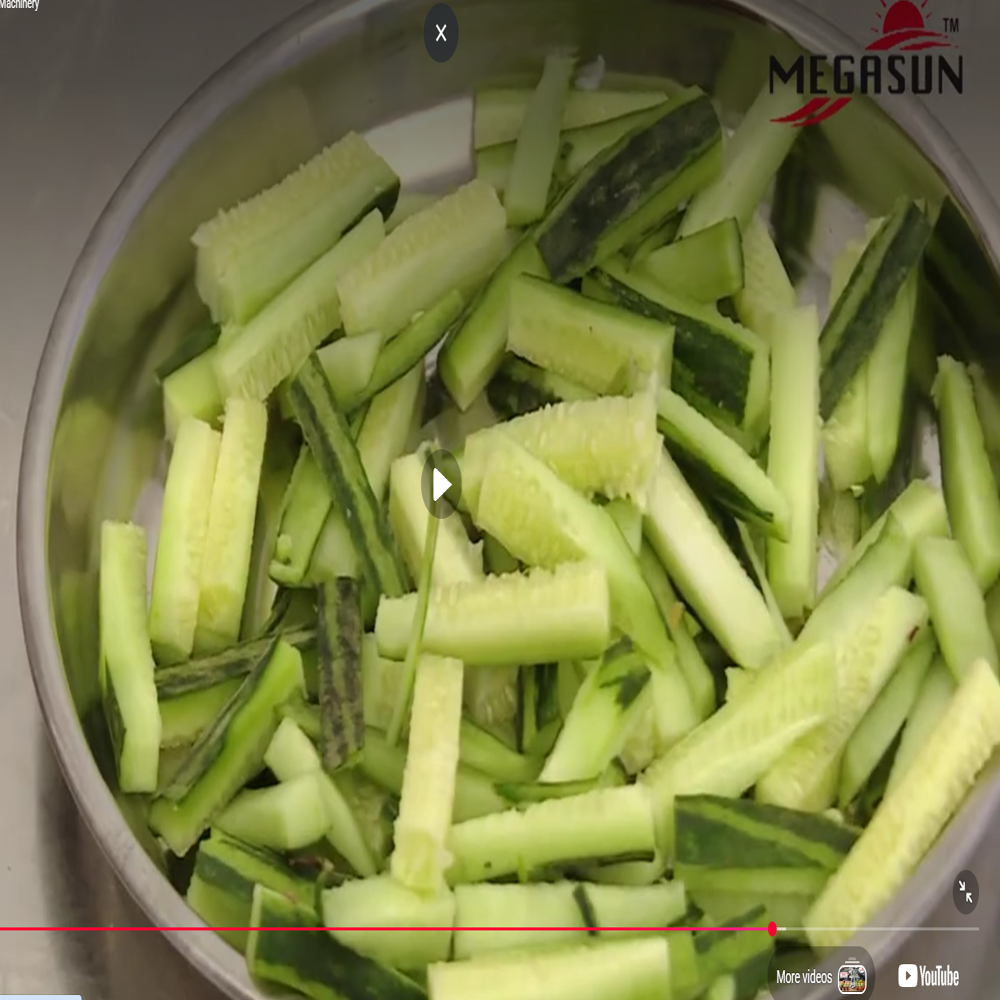 6 KG Finger Chips Machine (S.S)