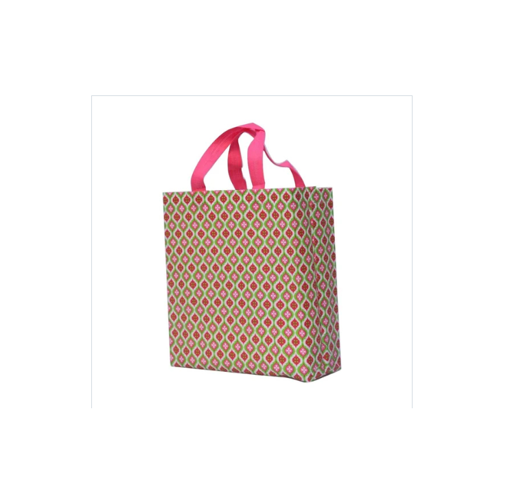 Printed Loop Handle Non Woven Bags