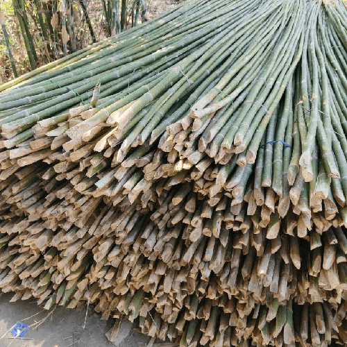 Bamboo Patti