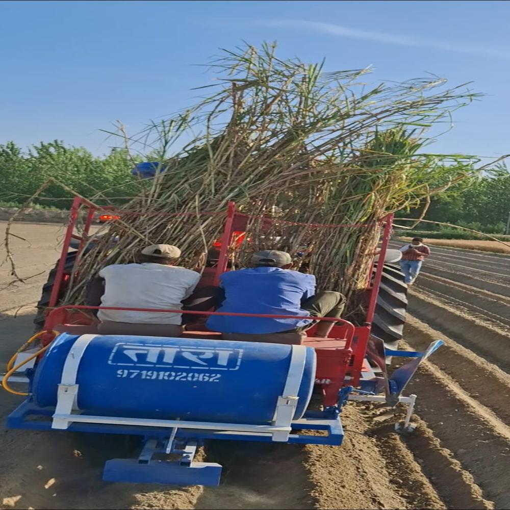 Napier grass planter