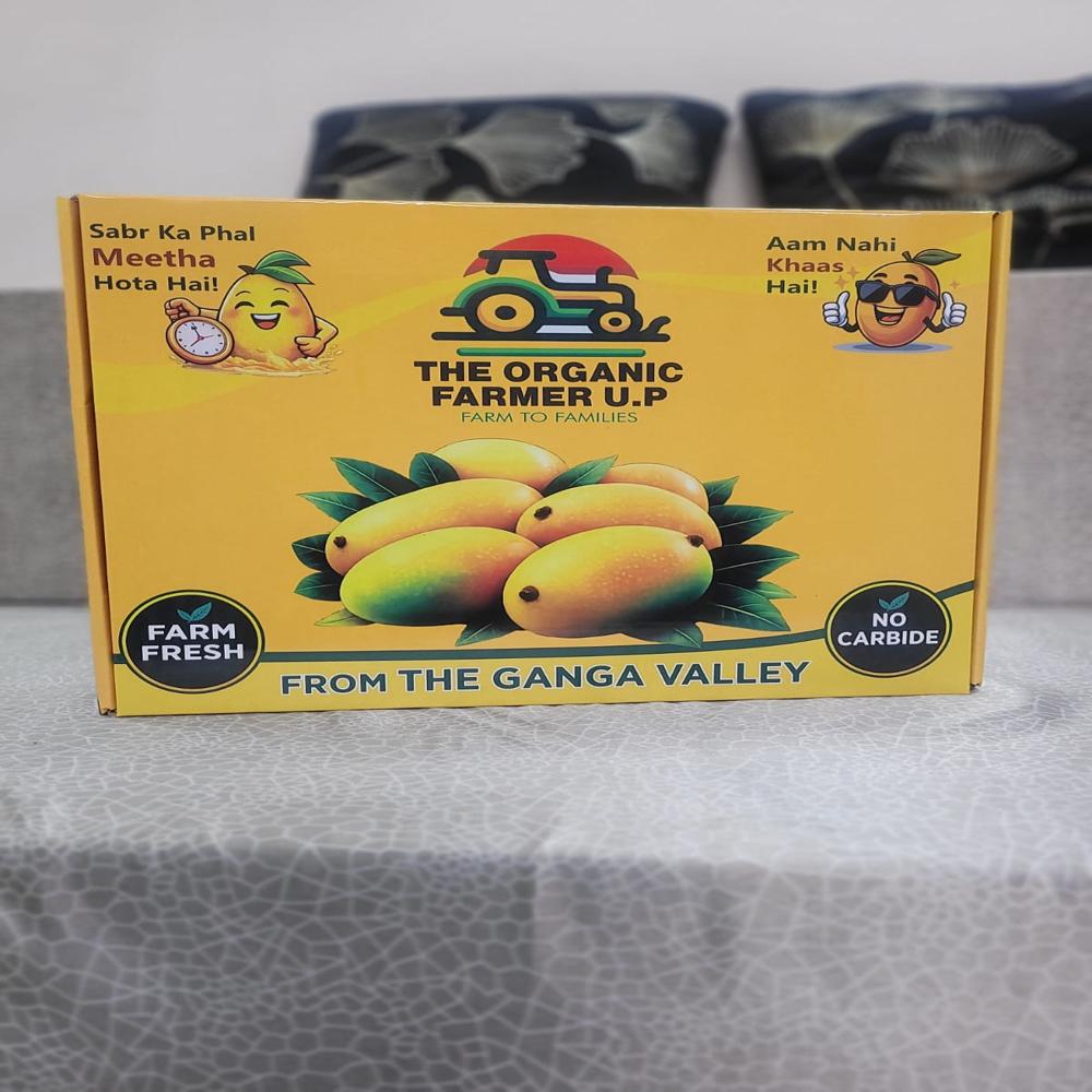 MANGO MAILER BOX