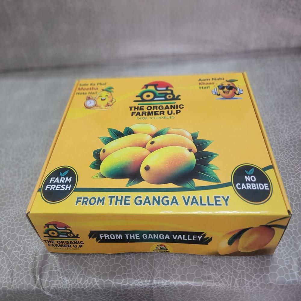 MANGO MAILER BOX