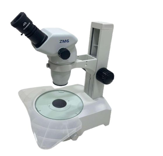 MagZoom ZM 6 for IVF/ Nematodes/ Zebra Fish  BINOCULAR