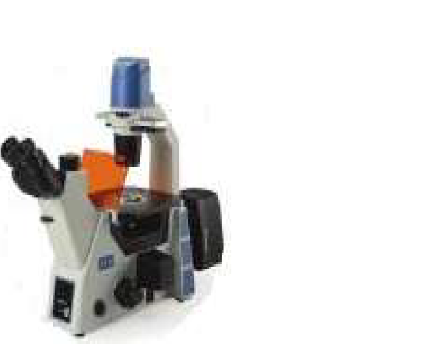 MAGNUS TRINOCULAR INVERTED FLUORESCENCE MICROSCOPE FOR BRIGHT FIELD , PHASE CONTRAST & FLUORESCENCE APPLICATION MODEL FL INVERSE