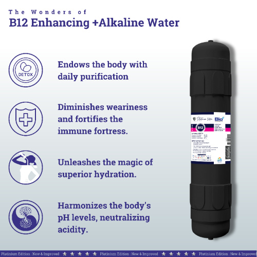 Bio+ Vitamin B12 INCH Filter (Dark Grey)