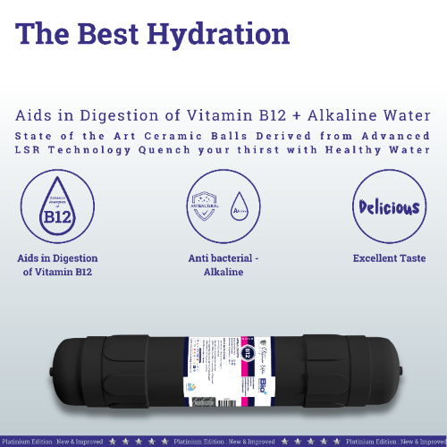 Bio+ Vitamin B12 INCH Filter (Dark Grey)