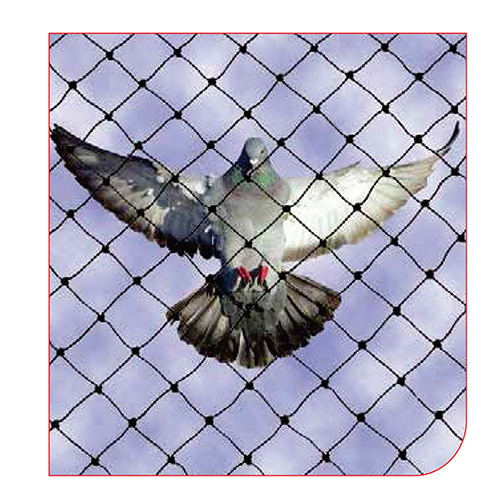 Fixed And Adjustable Pegon Net