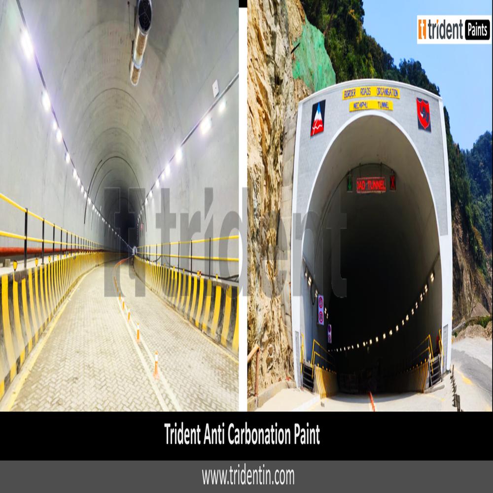 Trident Anti-Carbonation Paint