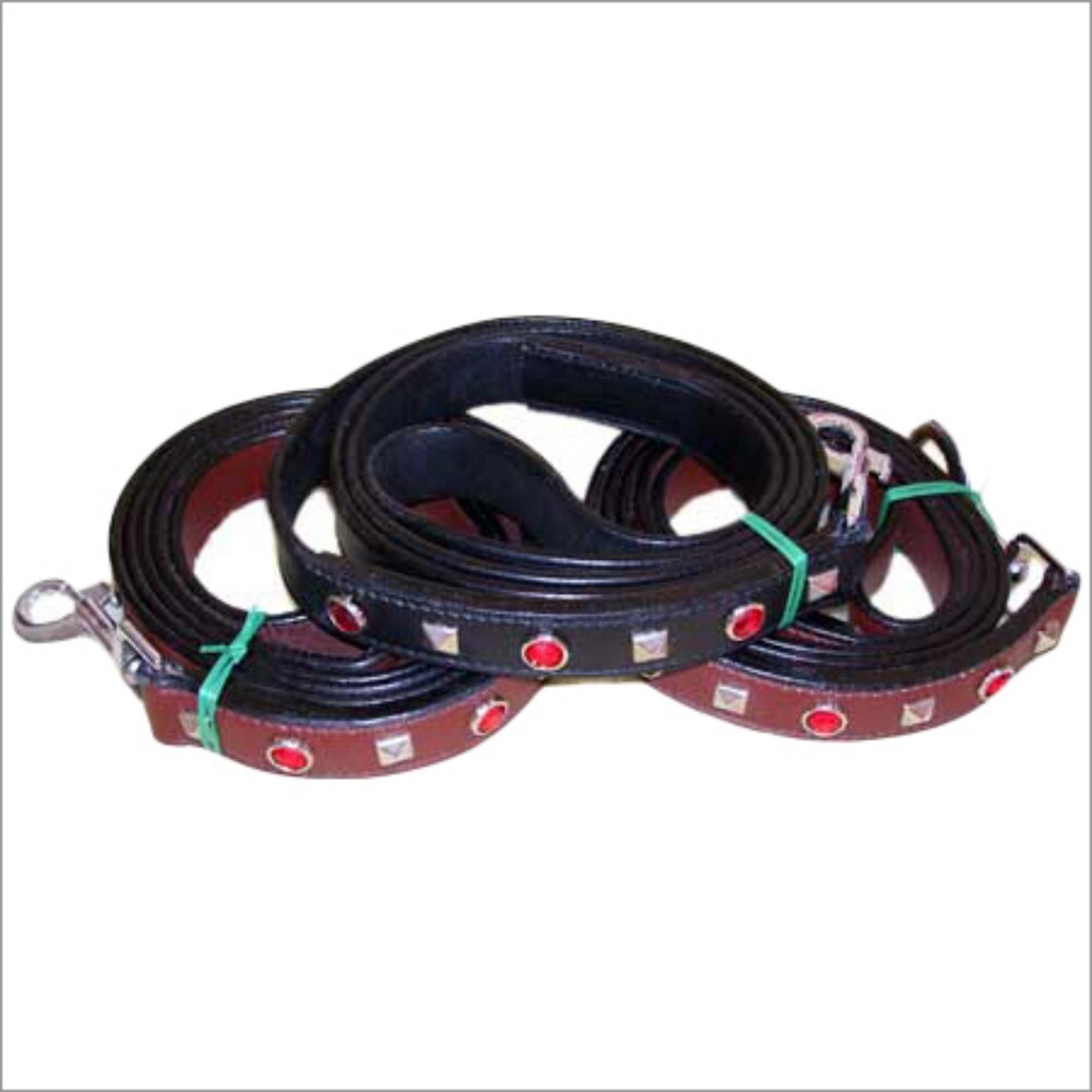 Lead Rope Snaps - Application: Dog