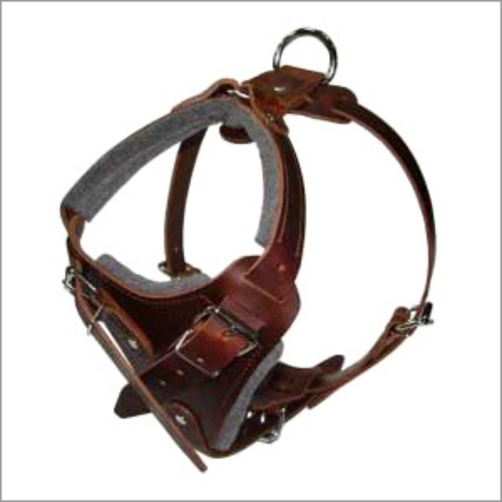 Leather Dog Harness - High Grade Leather, 2m Long, Black And Brown | Strong And Durable Design