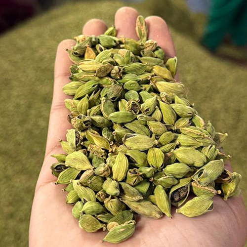 Green Cardamom