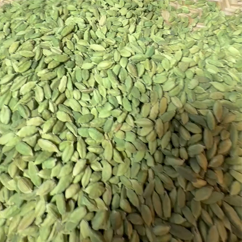 8mm Cardamom