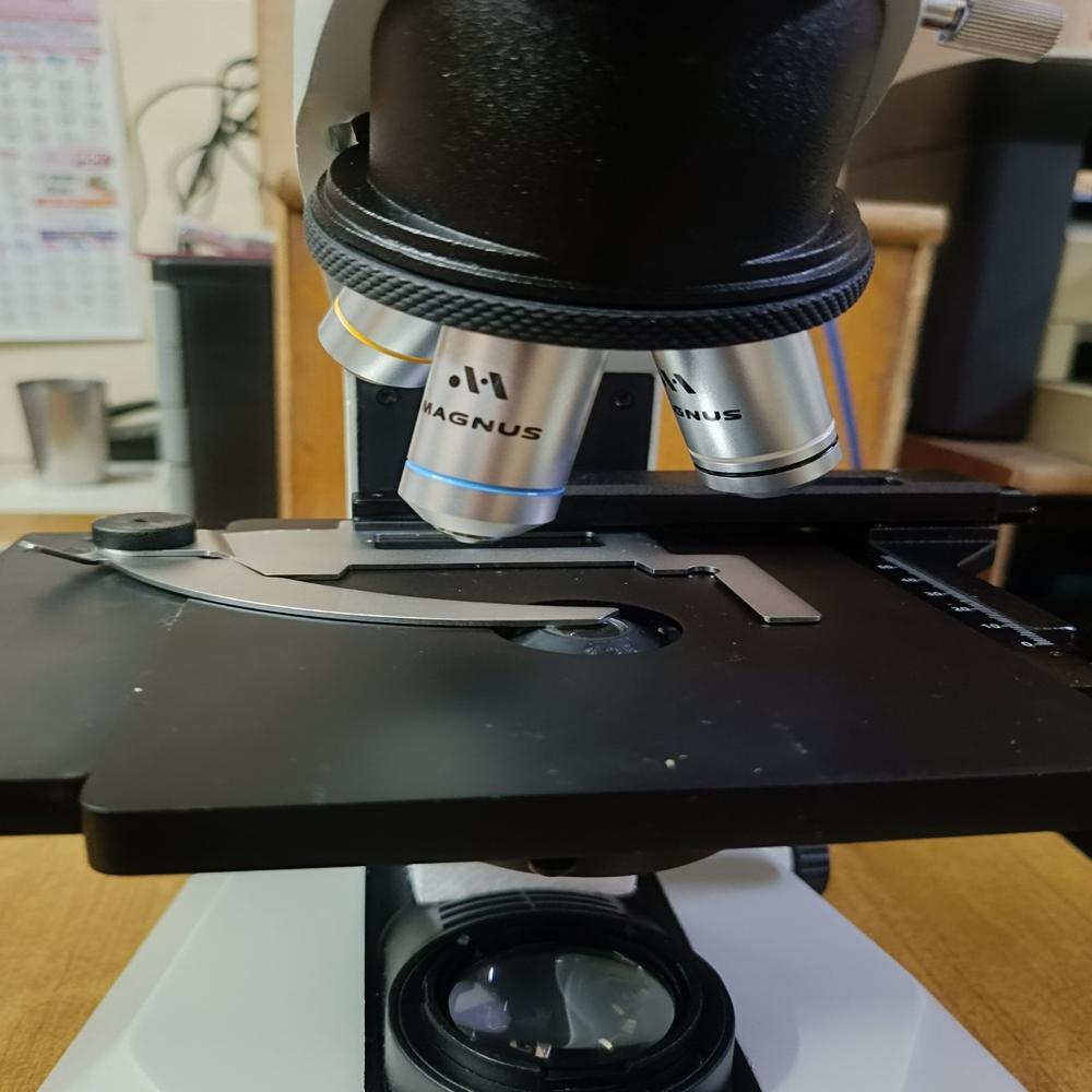 Magnus MX21i LED Binocular Microscope