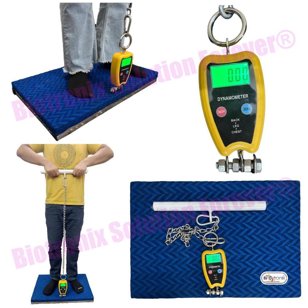 Digital Back Leg and Chest Dynamometer for Muscle Strength Testing