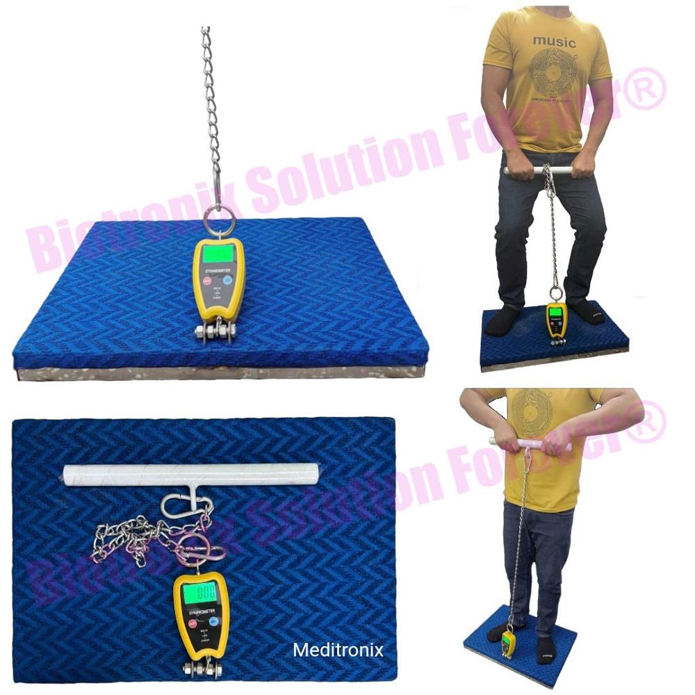 Digital Back Leg and Chest Dynamometer for Muscle Strength Testing