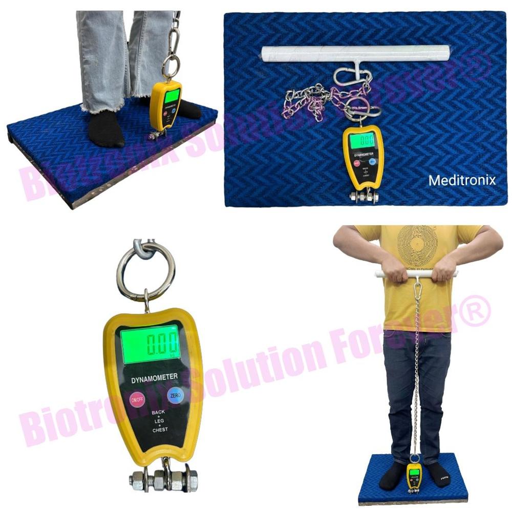 Digital Back Leg and Chest Dynamometer for Muscle Strength Testing