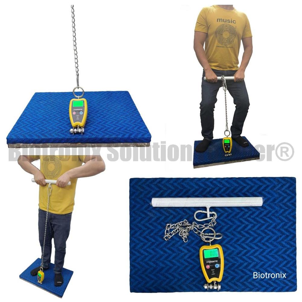 Professional Back Leg Chest Dynamometer for Physiotherapy Assessment