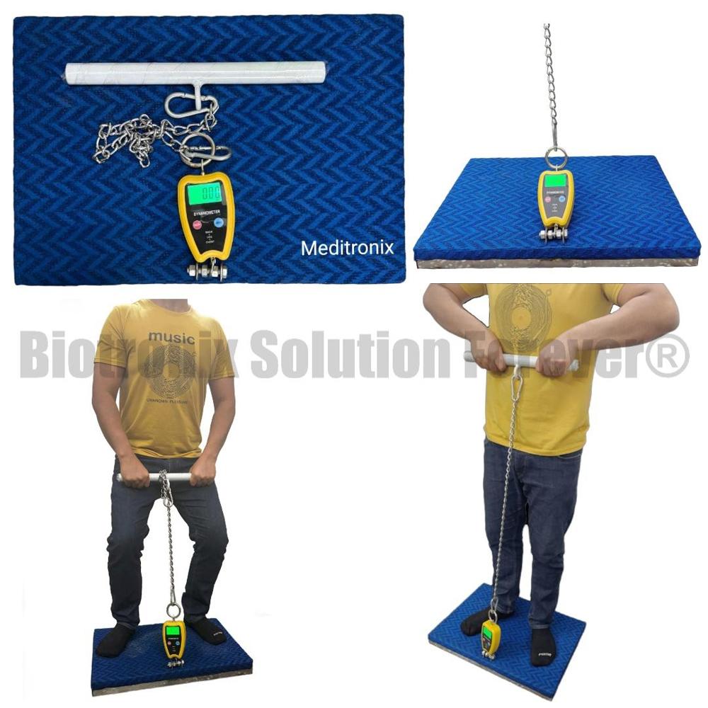Professional Back Leg Chest Dynamometer for Physiotherapy Assessment