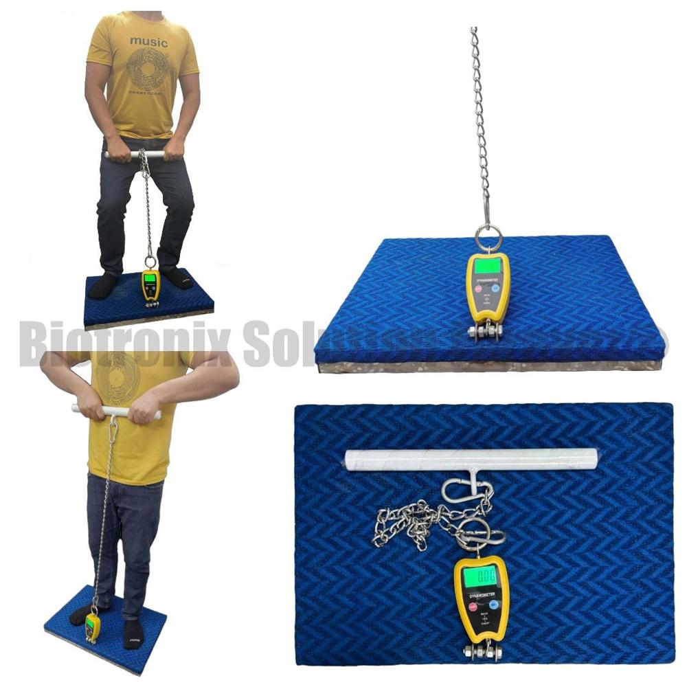 Professional Back Leg Chest Dynamometer for Physiotherapy Assessment