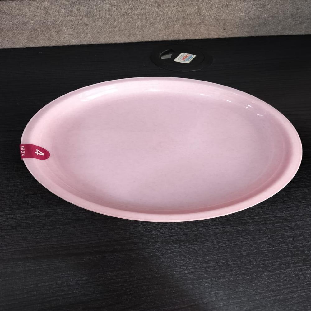 Plastic Plate 10