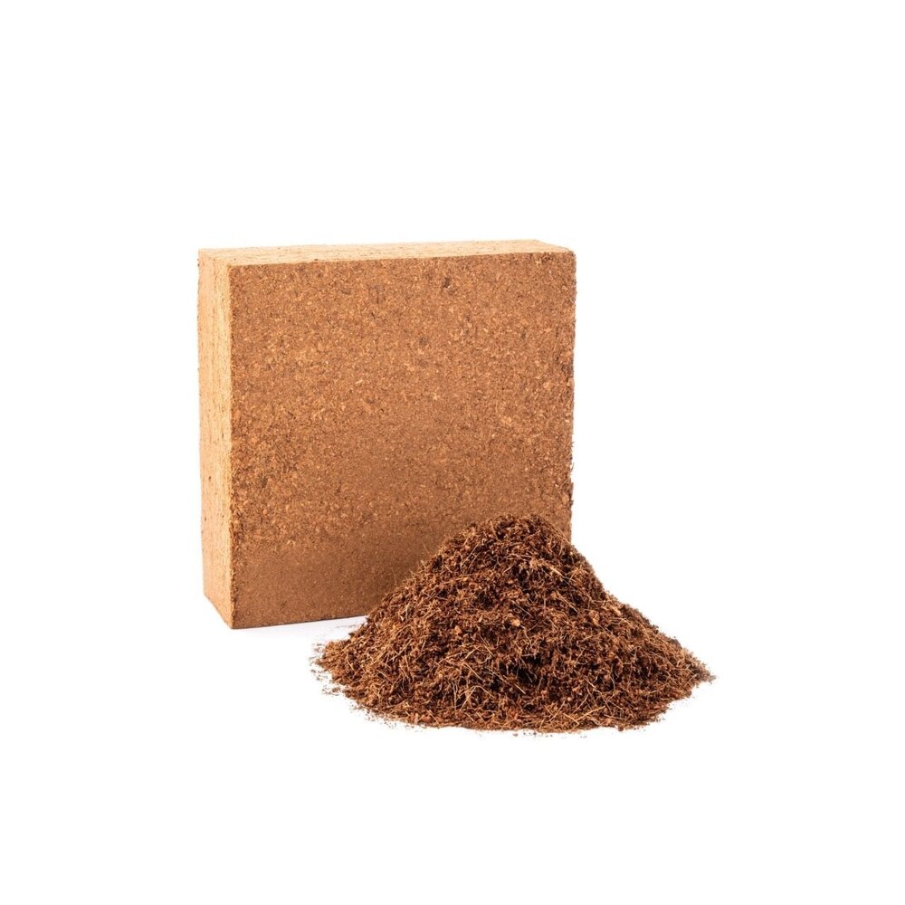 Cocopeat Block