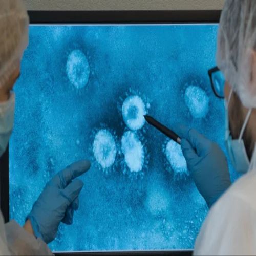 Agarose Low Eeo