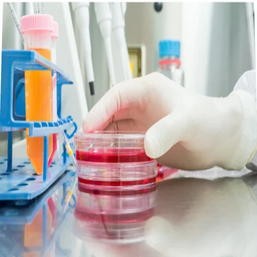Agar Agar Bacteriological Standard Grade