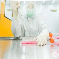 Agar Agar Bacteriological Standard Grade