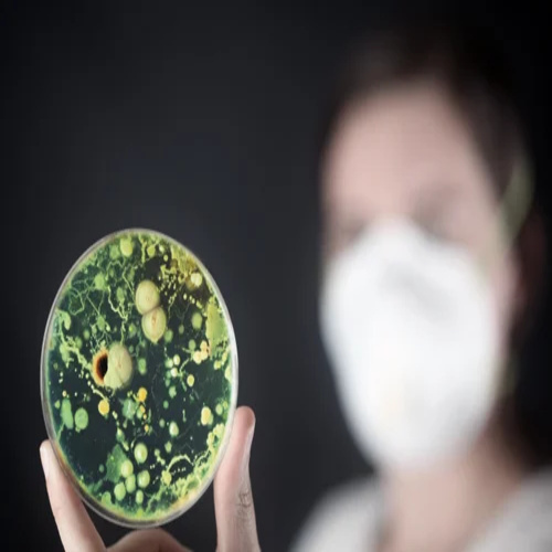 Agar Agar Bacteriological Standard Grade