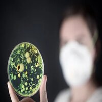 Agar Agar Bacteriological Standard Grade