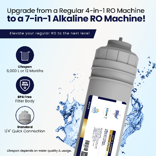 Bio+ Sapphire Zn Copper H2AAA 8*2 Silver (GE)