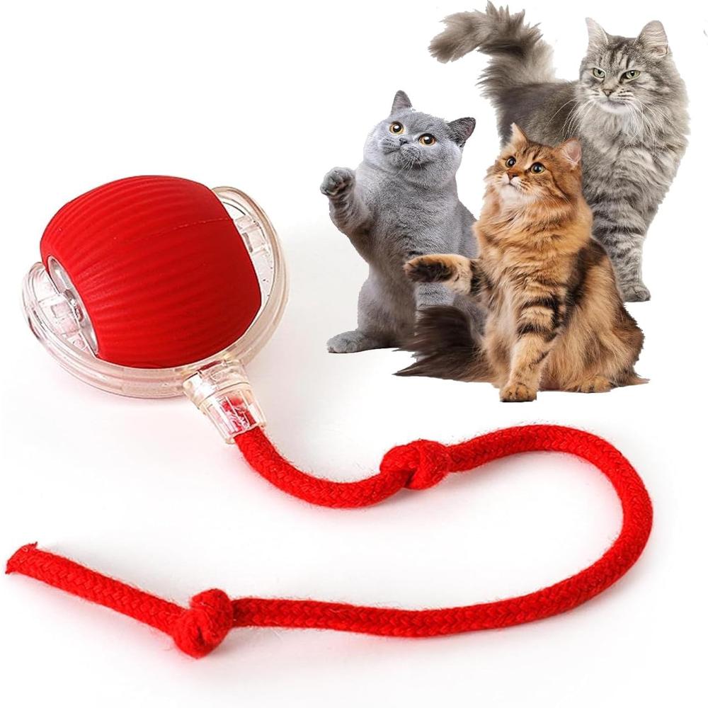 Speedy Tail Cat Toy