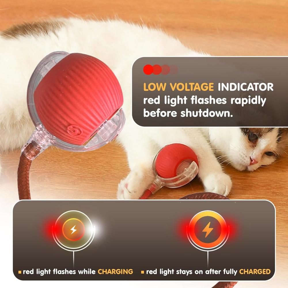 Speedy Tail Cat Toy