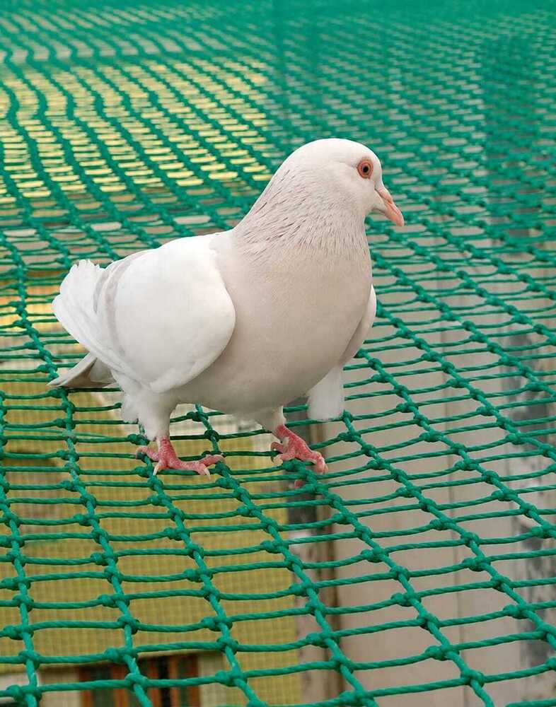 Balcony Bird Safety Net